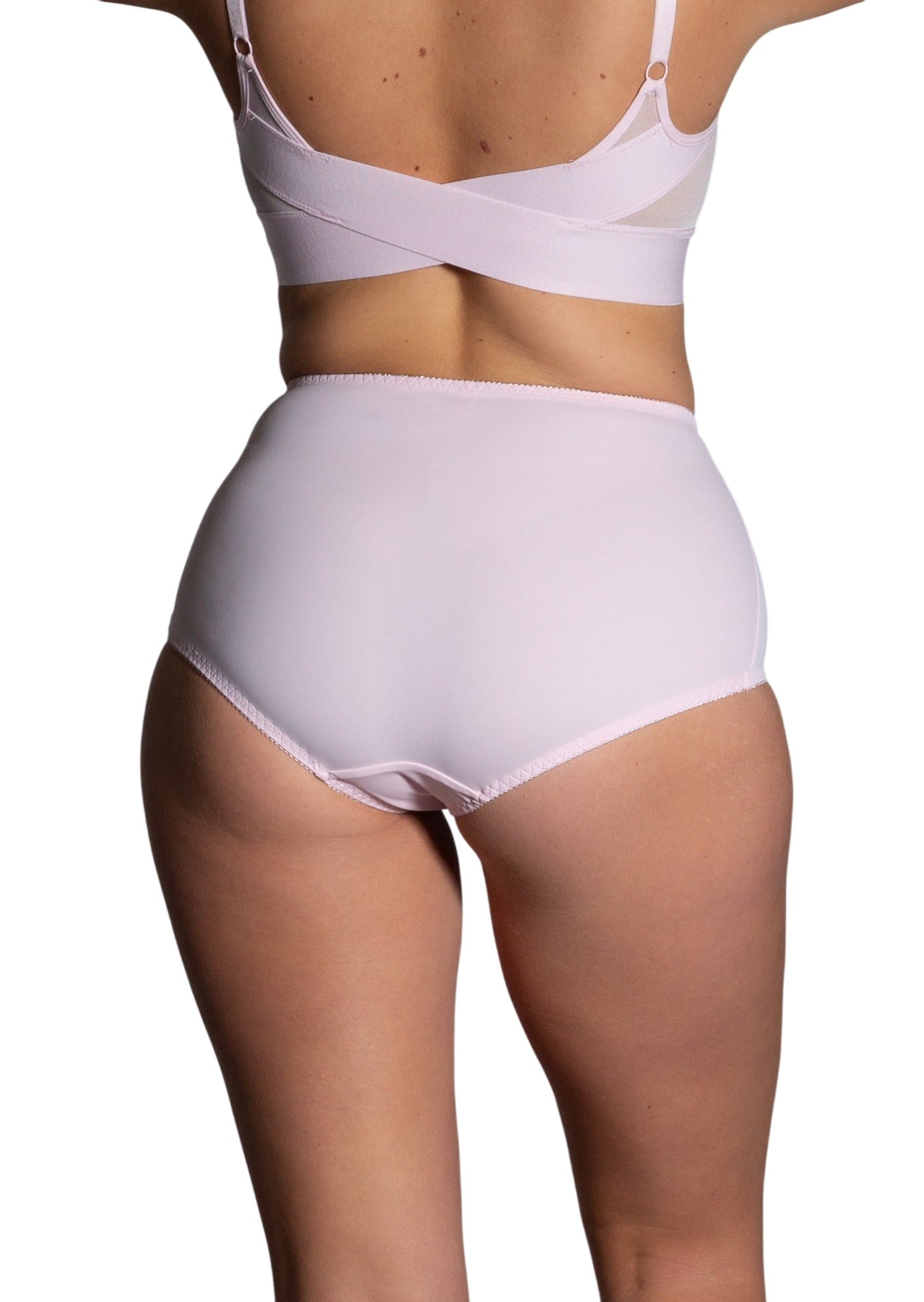 Style 4113-Full Coverage Brief Panty - Back pink